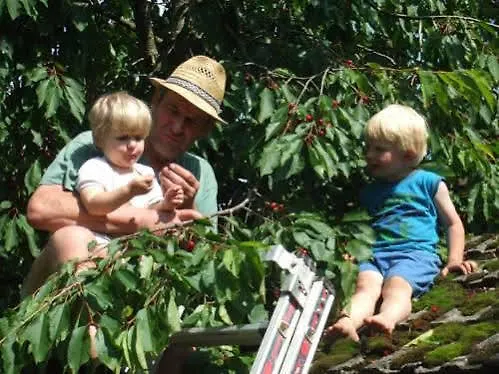 Ξενοδοχείο Biohof Stadler Sankt Martin im Mühlkreise